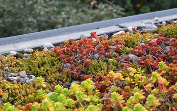 the cost of Malborough green roof installation
