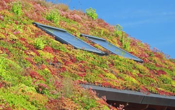 Malborough living roof systems
